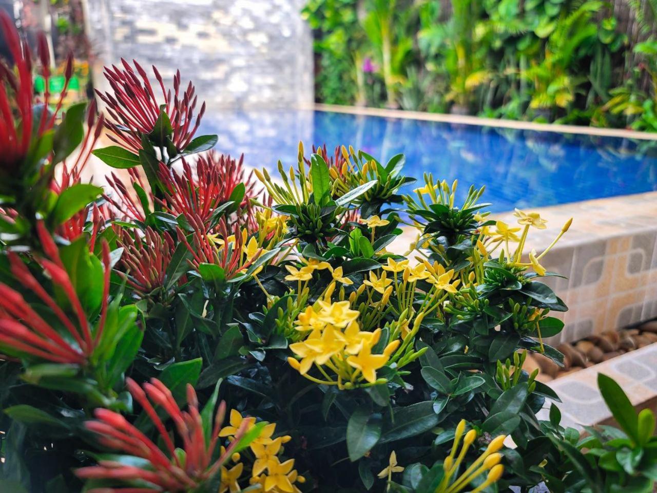 Bed & Bedzzz Hostel Siem Reap Ngoại thất bức ảnh